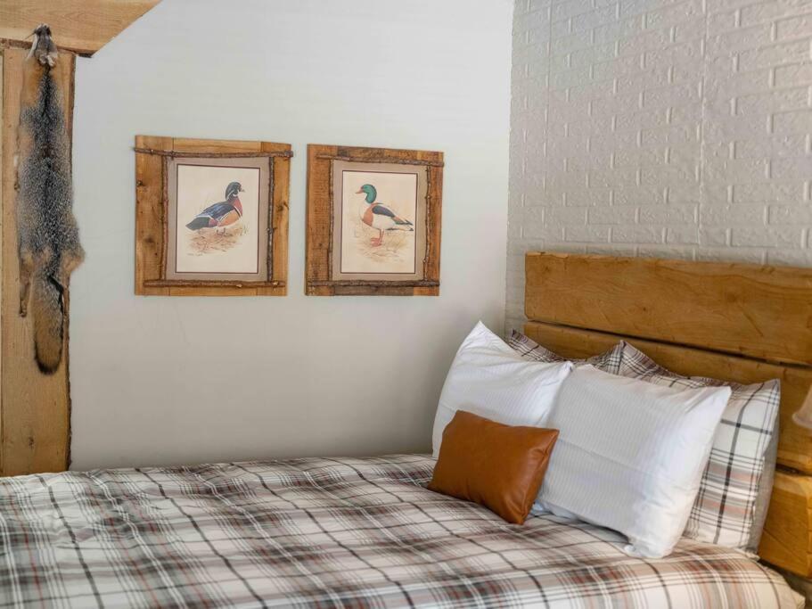 Stonegate Lodge 2 Queen Beds Fast Wifi 50In Tv Salt Water Pool Room # 305 يوريكا سبرينغز المظهر الخارجي الصورة